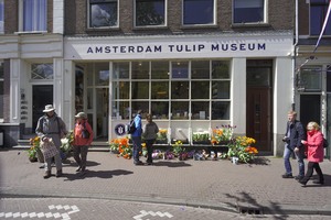 Amsterdam Tulip Museum