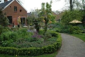 Botanische Tuin Domies Toen